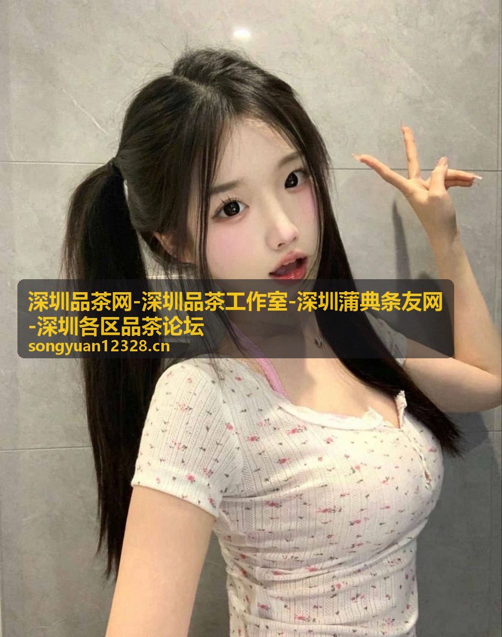 深圳蒲典条友网茶友圈层交流活动