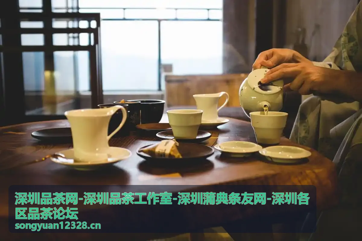 深圳各区品茶论坛活动速递与茶事聚会